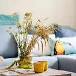 Hygge Hus
